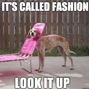 Dog & Posh Lovers ♥️🛍🐾